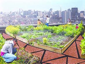 ��ֲ������©ˮ���������ڷ�ˮ������©����