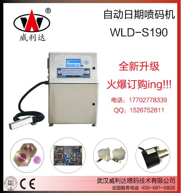 �人����������� �人С�ַ�������������Ҳ�Ʒ��ͼ