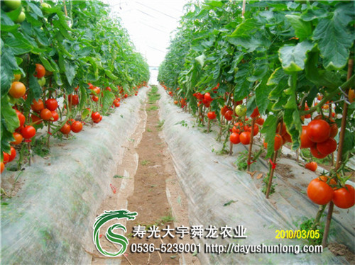 пֹ ҴǼ߲ܵ˴ｨ ߲˴ﳣùǼ