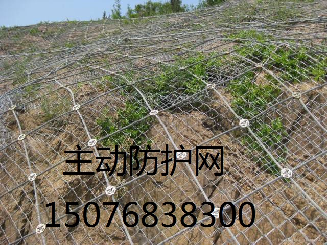 sns�������·�����ʵ����������������