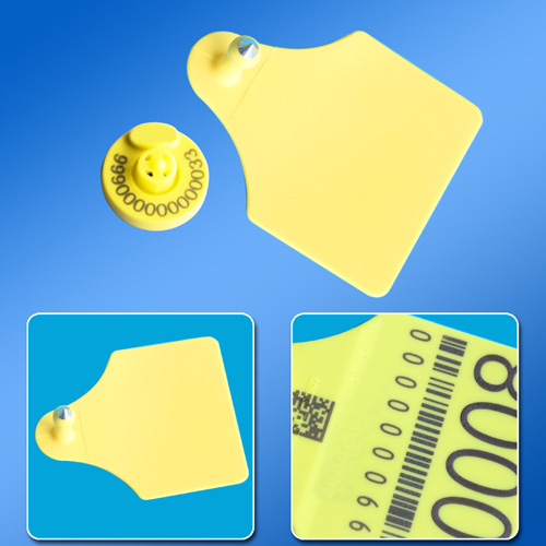 ʳƷ��ȫ��ܵ��Ӷ���