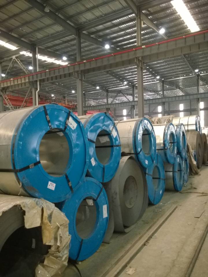 ���ֵ�������Ϳ��