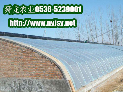 שǽҴｨ ߲˴ｨ ɽʩ