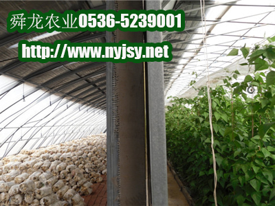 ˫汣´ Ҵｨר ռ ֲ