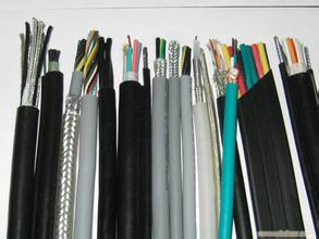 ZR-DJYPVP-300/500 2*3*1.5ͼƬ